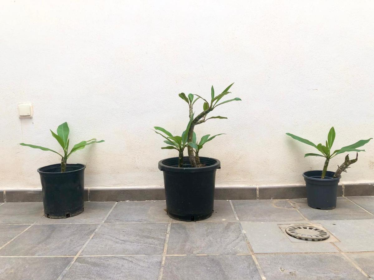 Varela Apartamentos B Málaga Kültér fotó